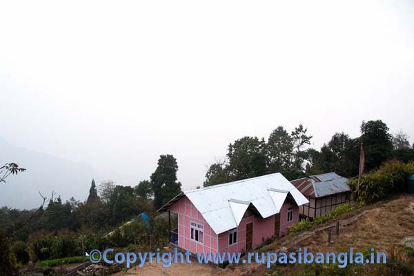Icchey Gaon Resort